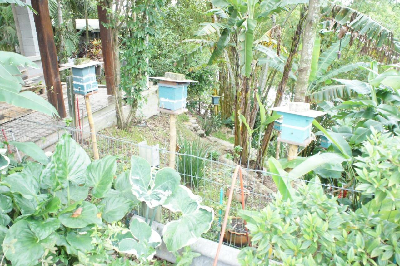 Hotel Naturalis Paranaguá 外观 照片